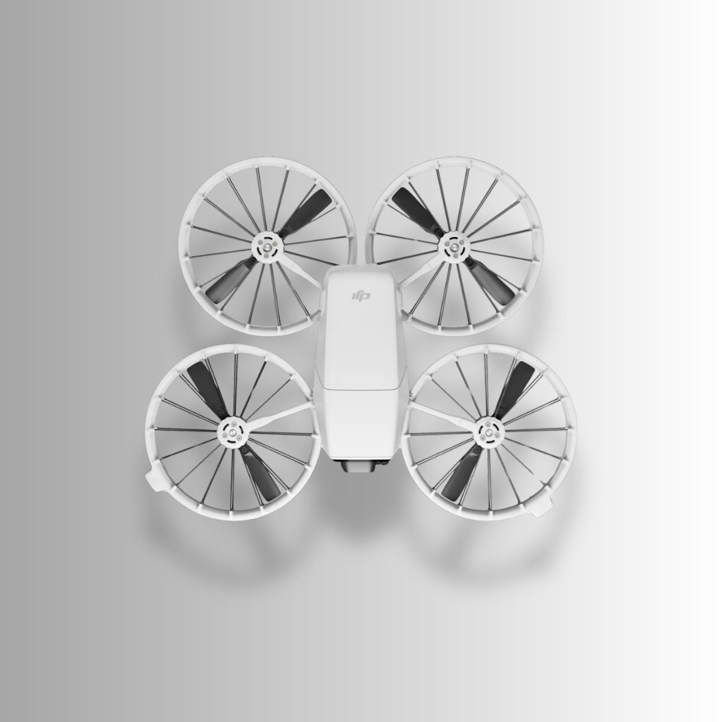 DJI Flip