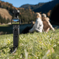 DJI Osmo Pocket 4 Creator Combo standing in grass capturing a scenic view with creators in the background.